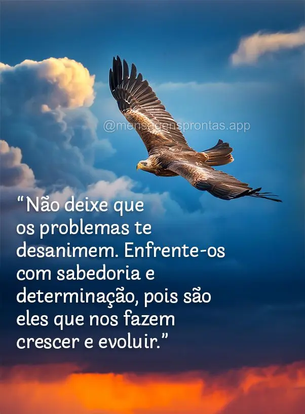 "Não deixe que os problemas te desanimem. Enfrente-os com sabedoria e determinação, pois são eles que nos fazem crescer e evoluir."