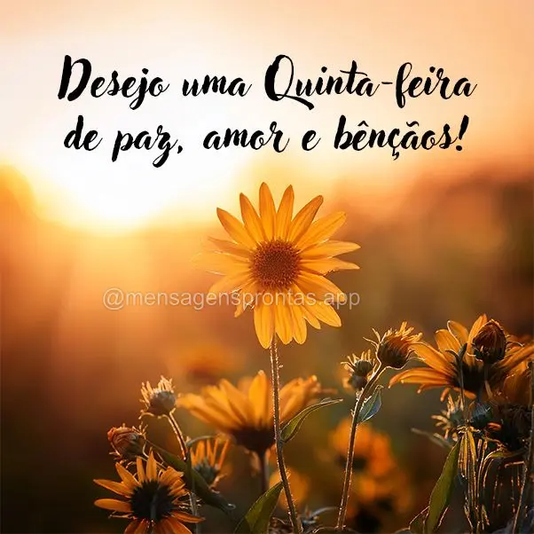 Desejo um Quinta-feira de paz, amor e bênçãos!