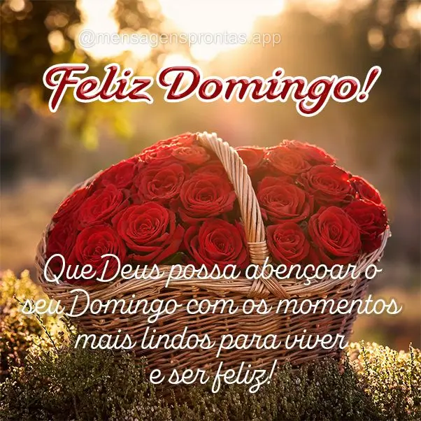 Que Deus possa abençoar o seu Domingo com os momentos mais lindos para viver e ser feliz! Feliz Domingo!