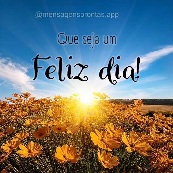 Que seja um Feliz dia!