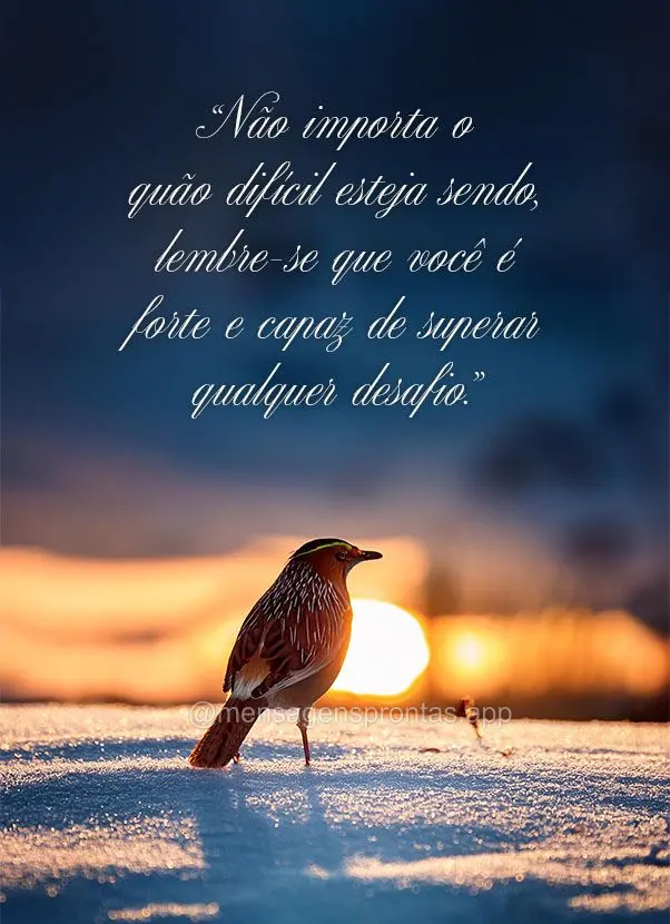 "Não importa o quão difícil esteja sendo, lembre-se que você é forte e capaz de superar qualquer desafio."