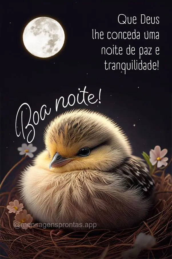 Que Deus lhe conceda uma noite de paz e tranquilidade! Boa noite!