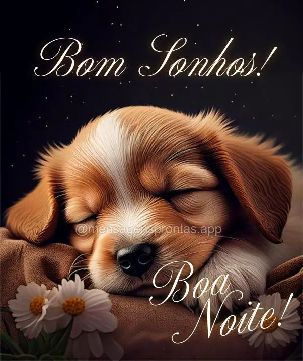 Boa noite! Bom sonhos!