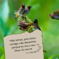“Não temas, pois estou contigo; não desanime, porque eu sou o seu Deus. Eu vou te fortalecer, eu vou te ajudar, eu vou te sustentar com minha mão di...