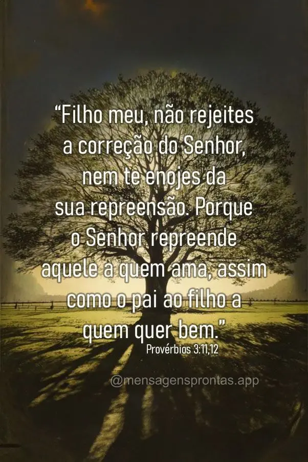 “Filho meu, não rejeites a correção do Senhor, nem te enojes da sua repreensão. Porque o Senhor repreende aquele a quem ama, assim como o pai ao fi...