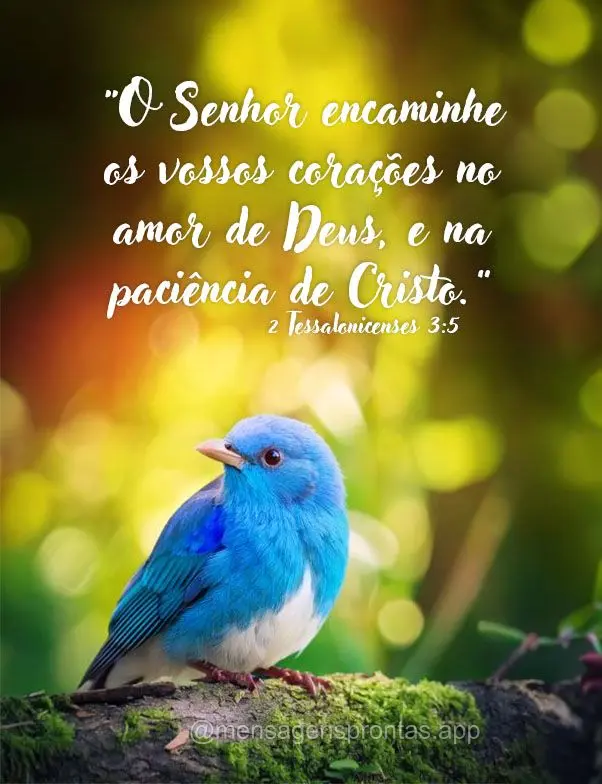 "O Senhor encaminhe os vossos corações no amor de Deus, e na paciência de Cristo." 2 Tessalonicenses 3:5