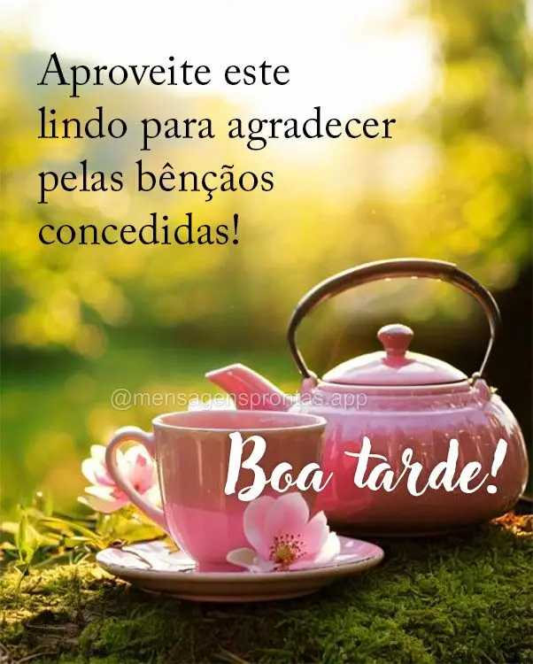 Aproveite este lindo para agradecer pelas bênçãos concedidas! Boa tarde!