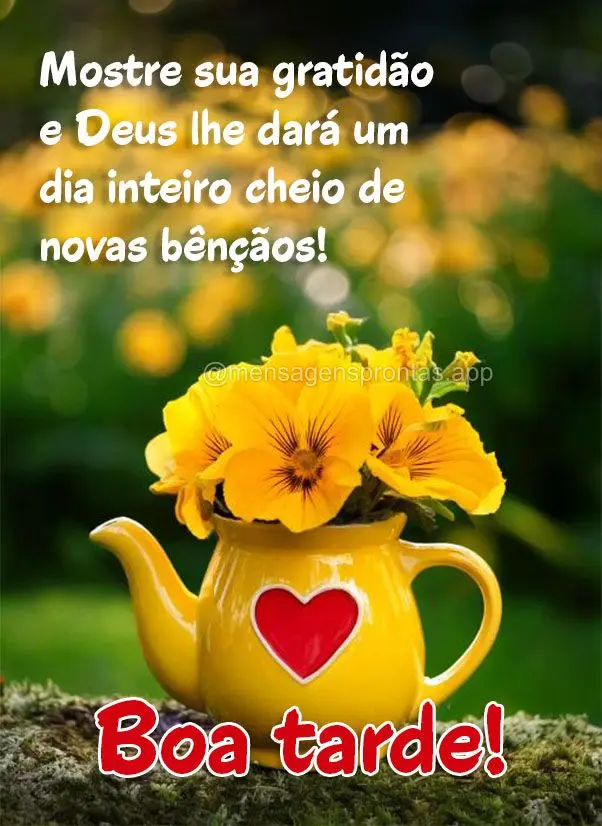 Mostre sua gratidão e Deus lhe dará um dia inteiro cheio de novas bênçãos! Boa tarde!