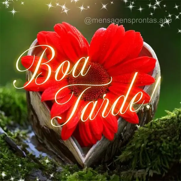 Boa tarde!