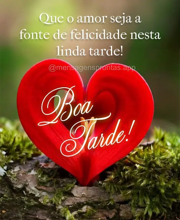 Que o amor seja a fonte de felicidade nesta linda tarde! Boa tarde! 