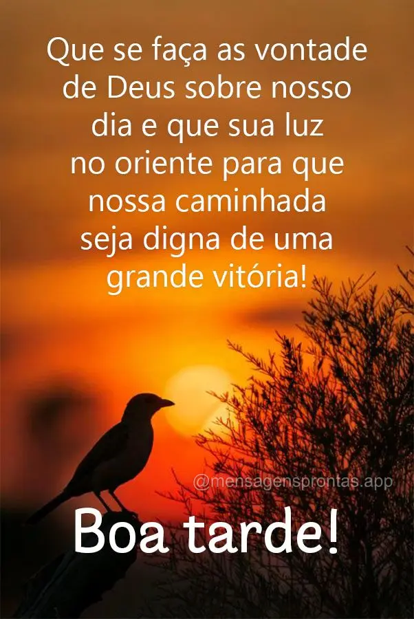 Que se faça as vontade de Deus sobre nosso dia e que sua luz no oriente para que nossa caminhada seja digna de uma grande vitória! Boa tarde!