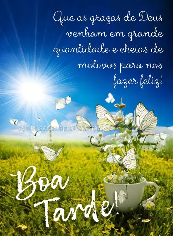 Que as graças de Deus venham em grande quantidade e cheias de motivos para nos fazer feliz! Boa tarde!