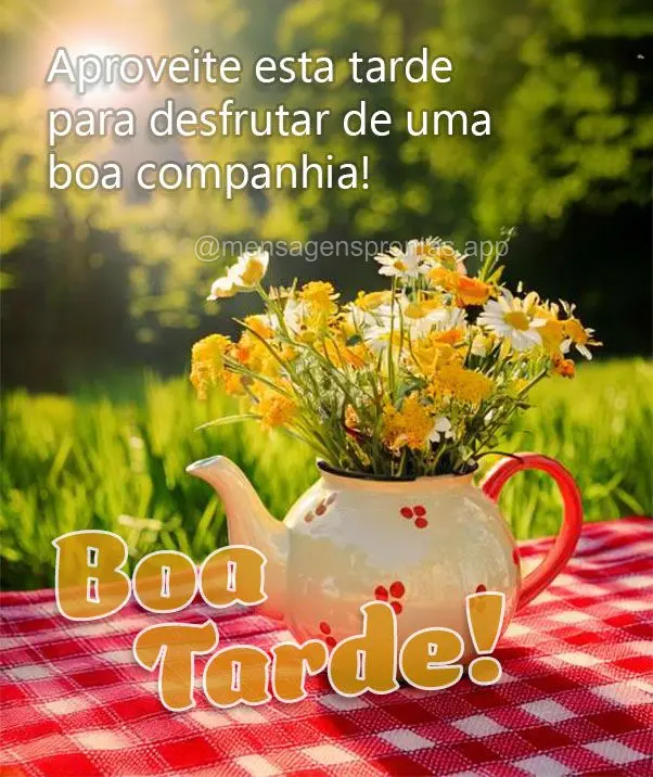 Aproveite esta tarde para desfrutar de uma boa companhia! Boa tarde!