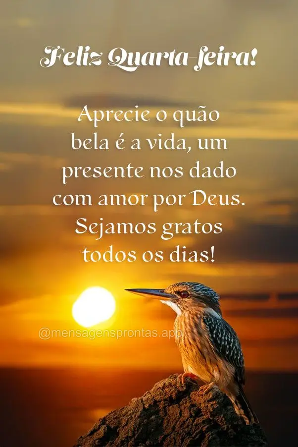 Aprecie o quão bela é a vida, um presente nos dado com amor por Deus. Sejamos gratos todos os dias! Feliz Quarta-feira!