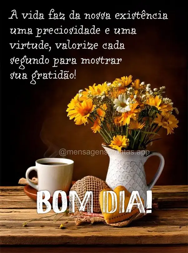 A vida faz da nossa existência uma preciosidade e uma virtude, valorize cada segundo para mostrar sua gratidão! Bom dia!