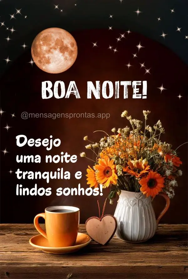 Desejo uma noite tranquila e lindos sonhos! Boa noite!