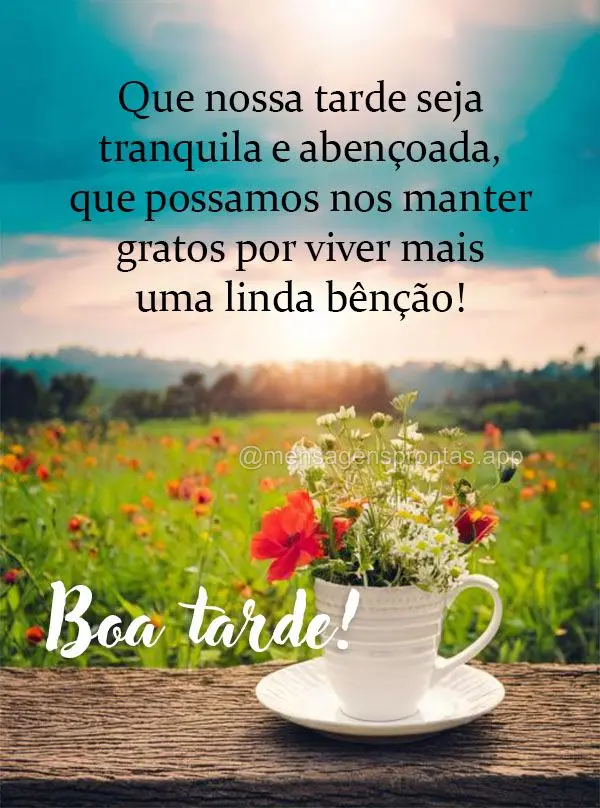 Que nossa tarde seja tranquila e abençoada, que possamos nos manter gratos por viver mais uma linda bênção! Boa tarde!