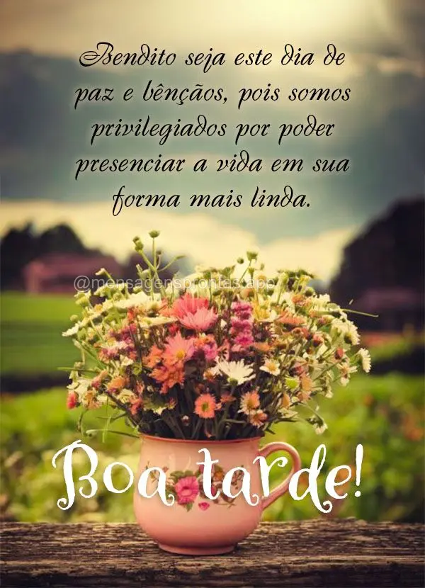 Bendito seja este dia de paz e bênçãos, pois somos privilegiados por poder presenciar a vida em sua forma mais linda. Boa tarde!