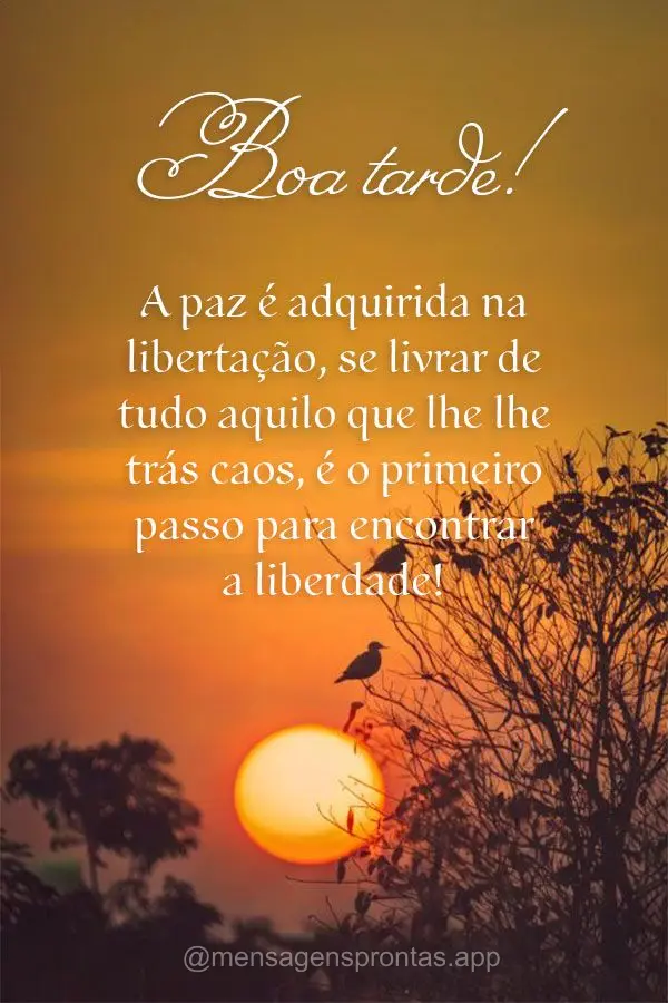 A paz é adquirida na libertação, se livrar de tudo aquilo que lhe lhe trás caos, é o primeiro passo para encontrar a liberdade! Boa tarde!