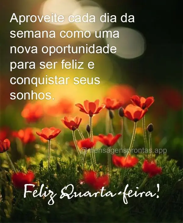 Aproveite cada dia da semana como uma nova oportunidade para ser feliz e conquistar seus sonhos. Feliz Quarta-feira!