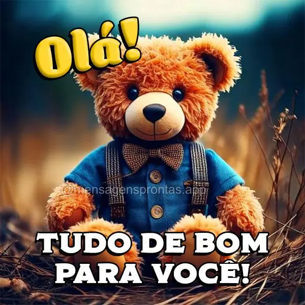 Olá! Tudo de bom para você!