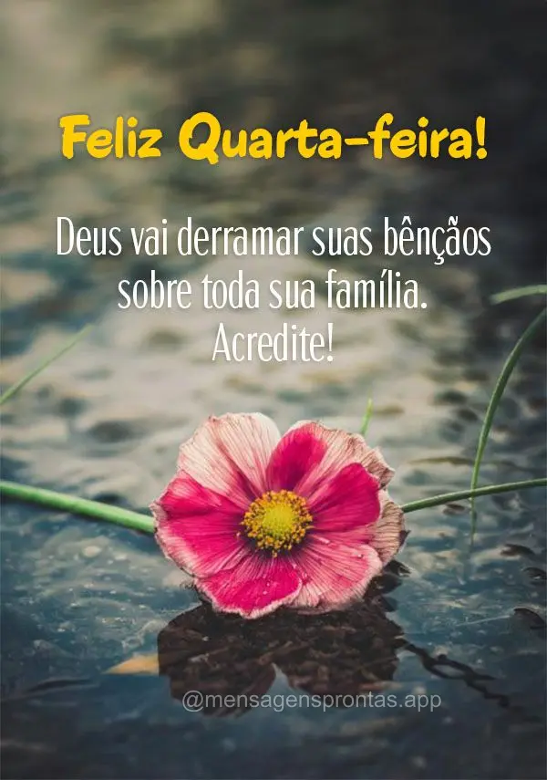 Deus vai derramar suas bênçãos sobre toda sua família. Acredite!  Feliz Quarta-feira! 