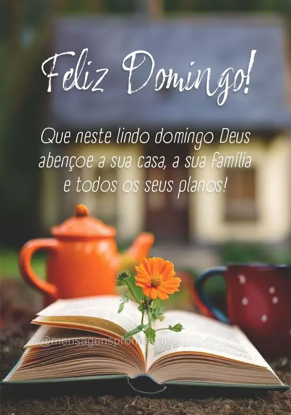 Que neste lindo domingo Deus abençoe a sua casa, a sua família e todos os seus planos! Feliz Domingo!