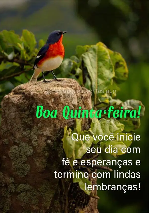 Que você inicie seu dia com fé e esperanças e termine com lindas lembranças!   Feliz Quinta-feira!