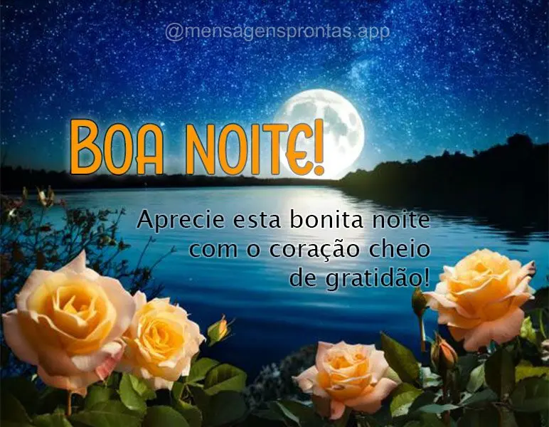 Aprecie esta bonita noite com o coração cheio de gratidão! Boa noite!