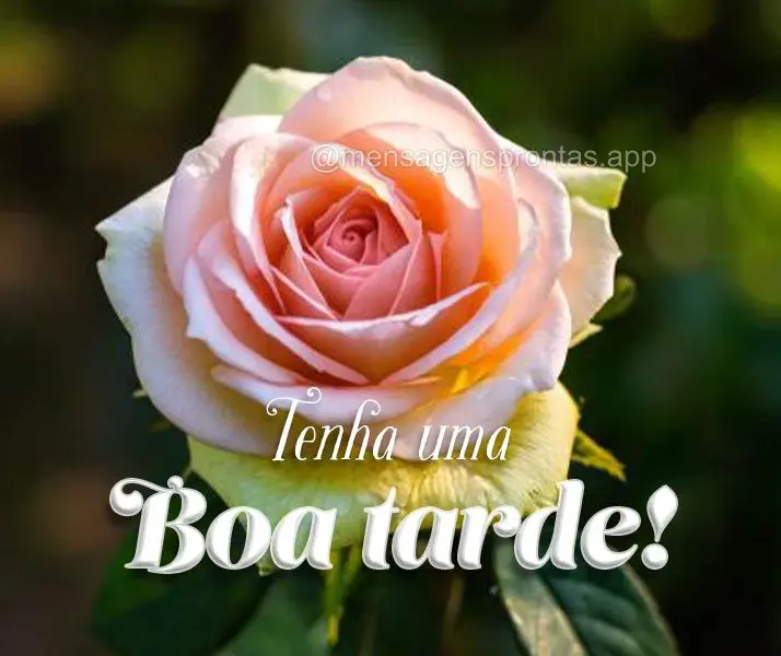 Tenha uma Boa tarde!