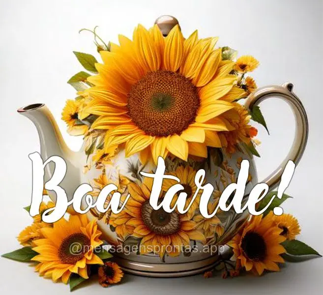 Boa tarde!