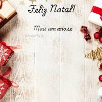 Mais um ano se encerra, e com ele a oportunidade de recomeçar. Que neste Natal possamos renovar nossas energias e no Ano Novo seguir em busca dos nossos...