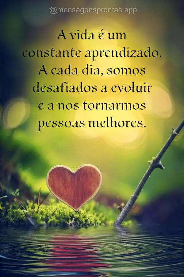 A vida é um constante aprendizado. A cada dia, somos desafiados a evoluir e a nos tornarmos pessoas melhores.