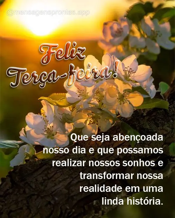 Que seja abençoada nosso dia e que possamos realizar nossos sonhos e transformar nossa realidade em uma linda história. Feliz Terça-feira!