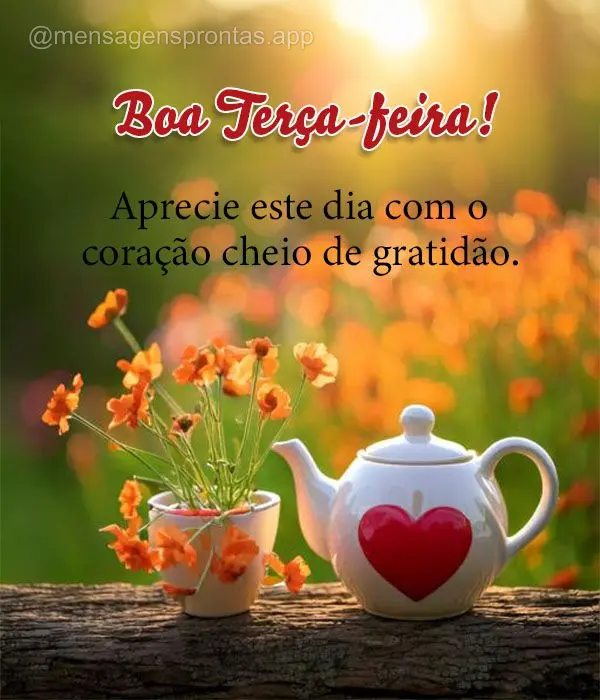 Aprecie este dia com o coração cheio de gratidão. Feliz Terça-feira!