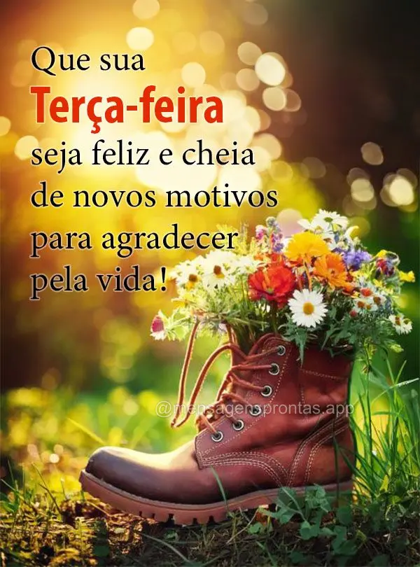 Que sua Terça-feira seja feliz e cheia de novos motivos para agradecer pela vida!