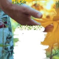 "Não é o que acontece conosco, mas como lidamos com o que acontece, que determina nosso destino. Feliz Domingo!  Epicteto