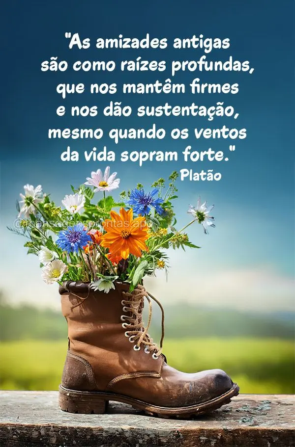 "As amizades antigas são como raízes profundas, que nos mantêm firmes e nos dão sustentação, mesmo quando os ventos da vida sopram forte." Platão...