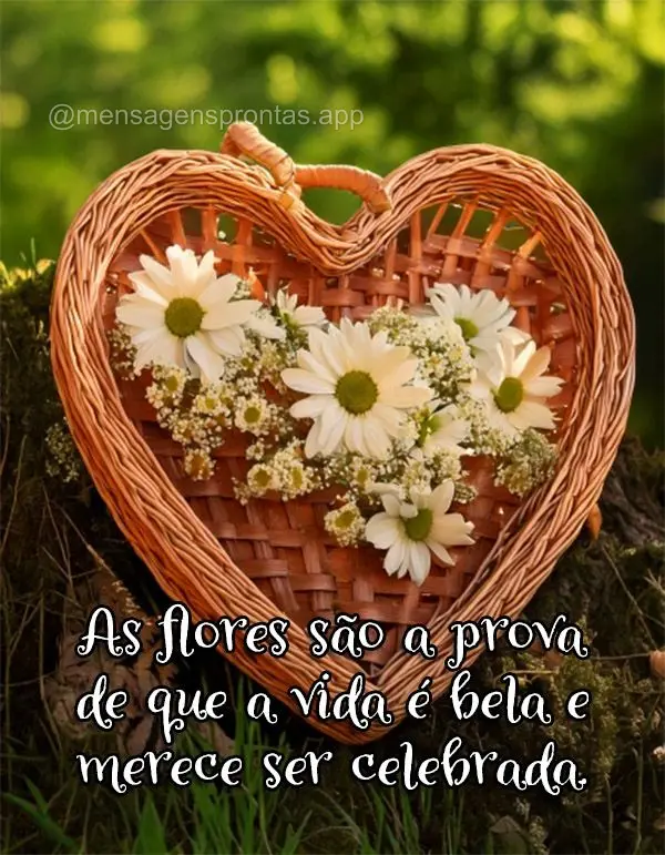 As flores são a prova de que a vida é bela e merece ser celebrada.