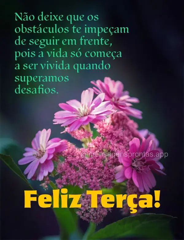 Não deixe que os obstáculos te impeçam de seguir em frente, pois a vida só começa a ser vivida quando superamos desafios. Feliz Terça!