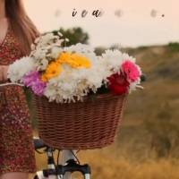 Que seu dia comece bem
termine ainda melhor.