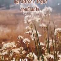 Respira fundo, agradece e segue confiante.
 Boa tarde!