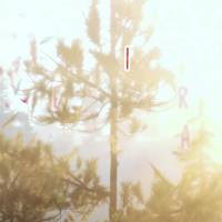 Hoje é dia de fazer acontecer — nem que seja aos pouquinhos.