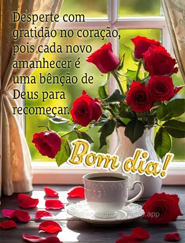 Desperte com gratidão no coração, pois cada novo amanhecer é uma bênção de Deus para recomeçar. Bom dia!