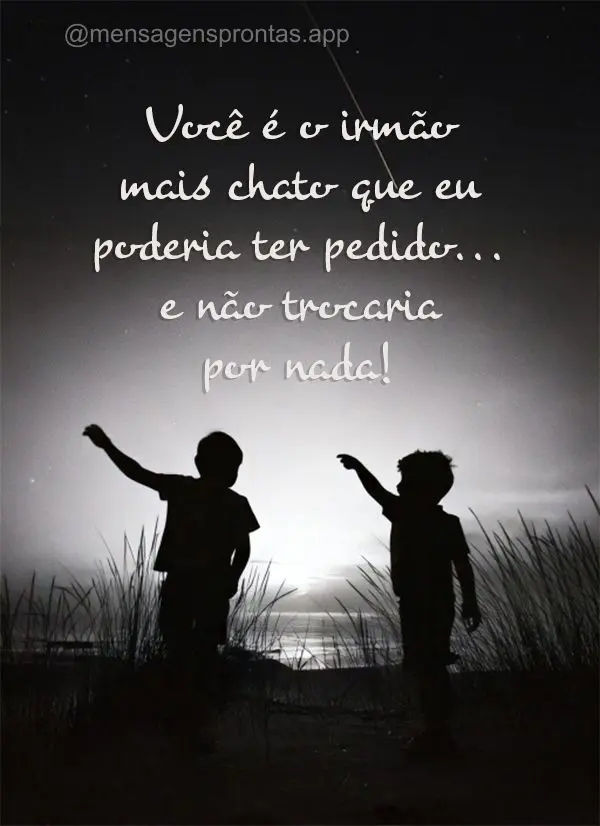 Você é o irmão mais chato que eu poderia ter pedido... e não trocaria por nada!