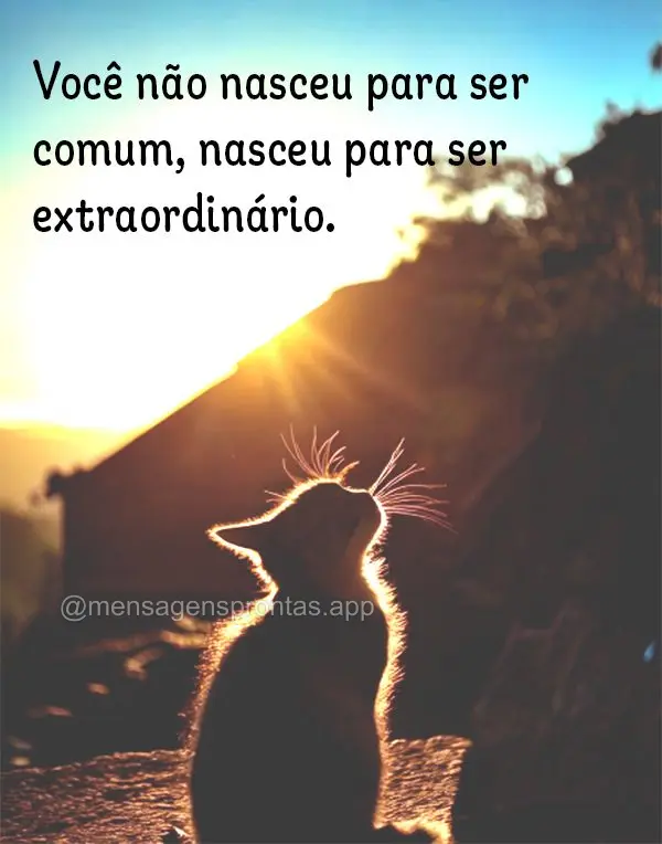 Você não nasceu para ser comum, nasceu para ser extraordinário.