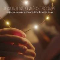 O amor que eu sinto por você cresce todos os dias
hoje é só mais uma chance de te lembrar disso. Feliz dia dos namorados