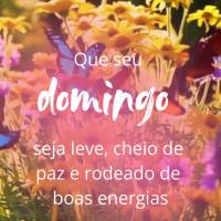 Que seu 
domingo 
seja leve, cheio de 
paz e rodeado de 
boas energias
