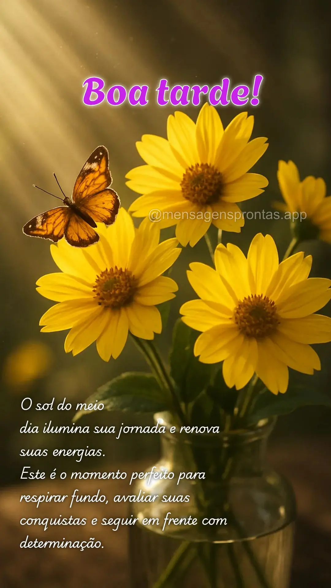  O sol do meio
dia ilumina sua jornada e renova suas energias. 
Este é o momento perfeito para respirar fundo, avaliar suas conquistas e seguir em fre...