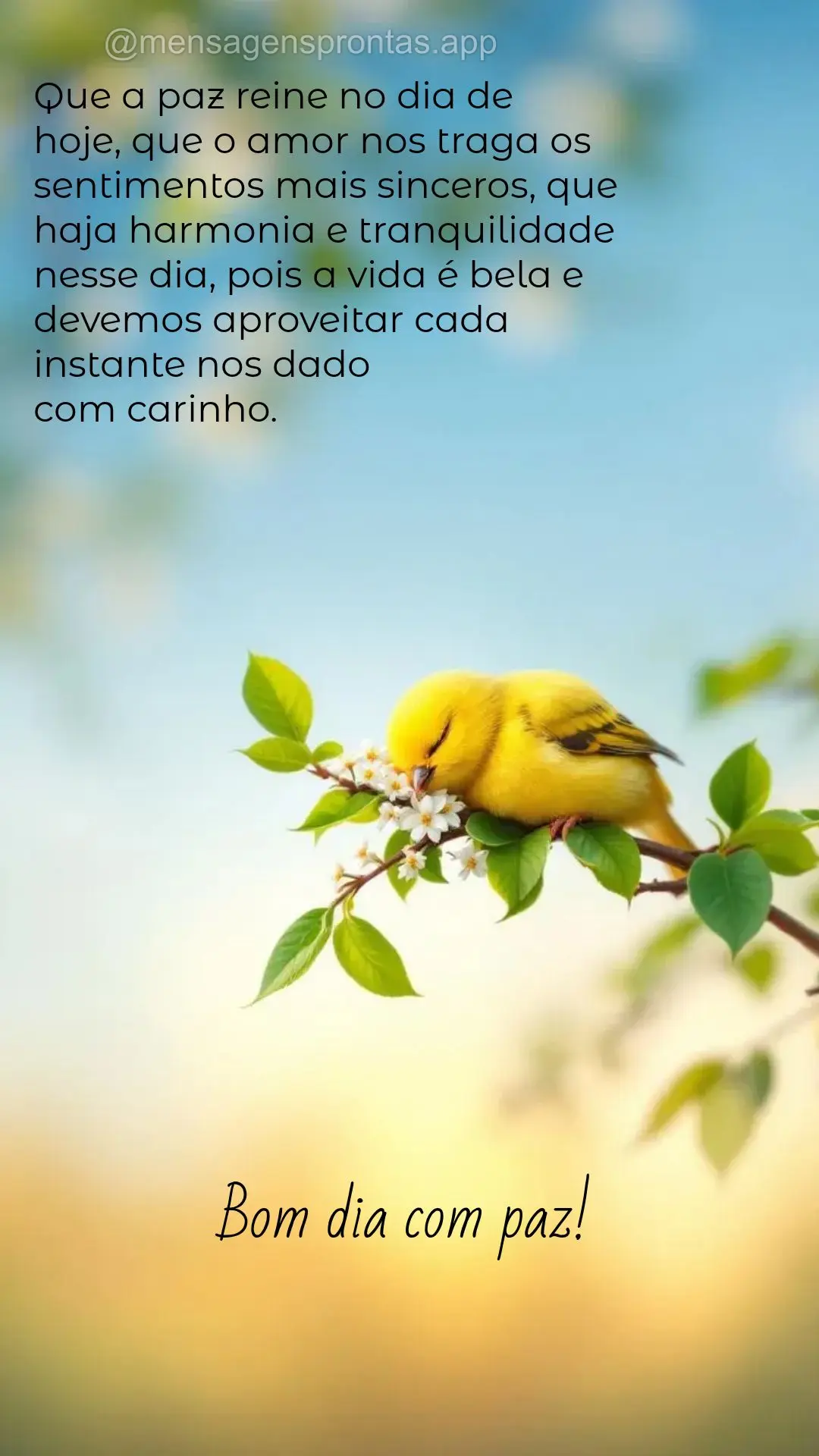 Que a paz reine no dia de 
hoje, que o amor nos traga os sentimentos mais sinceros, que haja harmonia e tranquilidade nesse dia, pois a vida é bela e d...